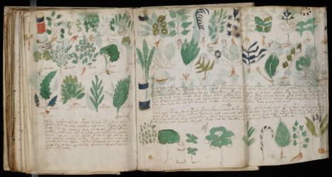 Páginas de la sección de 'farmacología' del manuscrito Voynich Leer más:  El misterioso libro escrito hace 600 años en una indescifrable lengua: nuevos datos - Noticias de Alma, Corazón, Vida  Páginas de la sección de 'farmacología' del manuscrito Voynich 